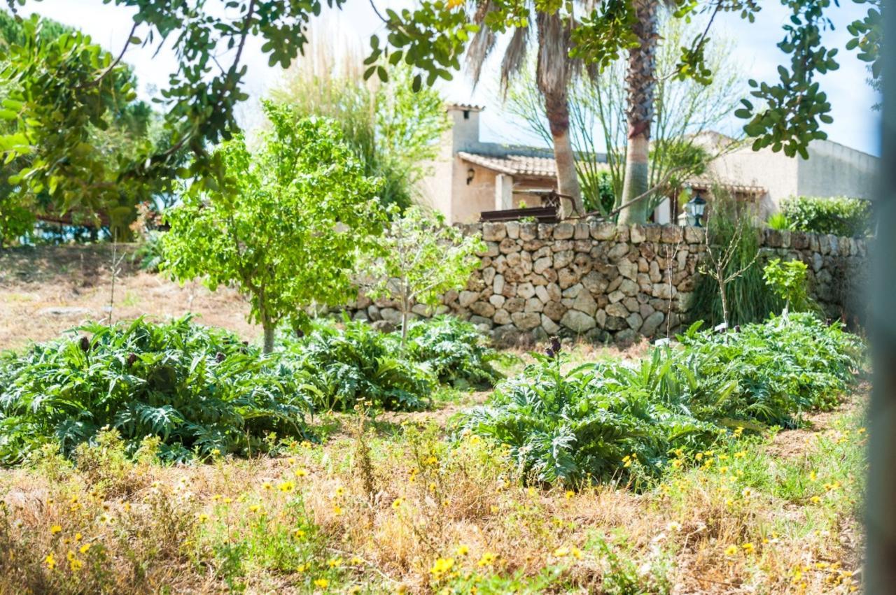 Casa de vacances Villa Santa Margalida