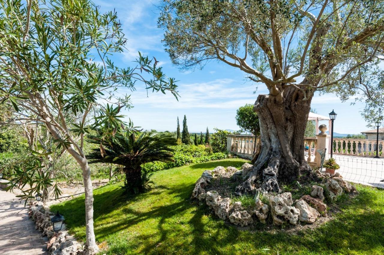 Villa Holiday home Santa Margalida