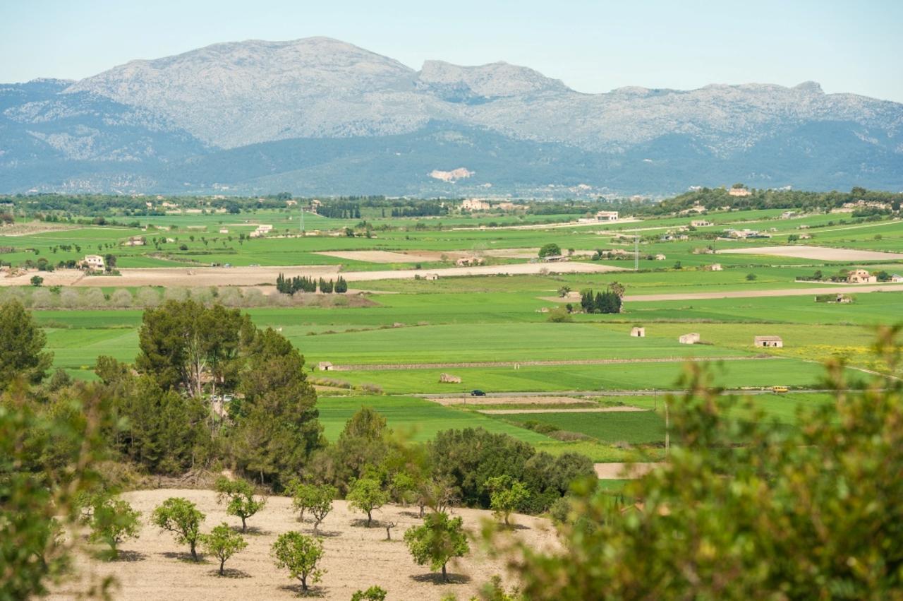 Casa de vacances Villa *